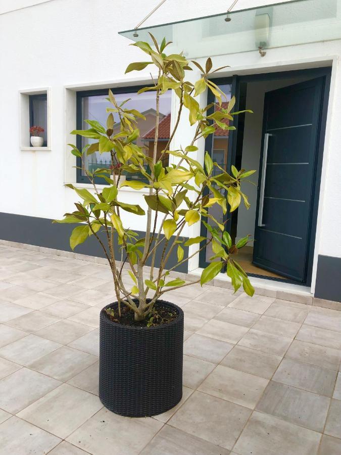 Casa Patio Country House Enxara do Bispo Eksteriør billede